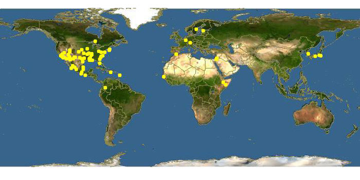 نقشه پراکندگی عمده کشت تاج خروس در دنیا